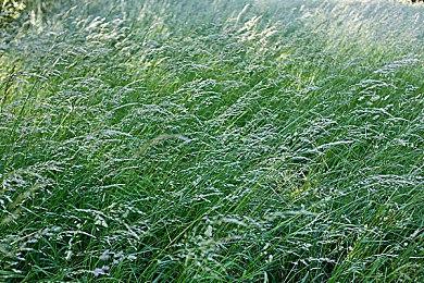 恋爱动作游戏《Eternights》反向跳票 9月12日发售